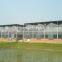 Poly greenhouses