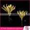 Hot Sale Wedding Decoration natural preserved flower manufacturer china
