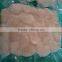 Frozen vacuum Fan shell Atrina Pectinata for sale in season