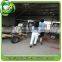 LVL Poplar Wood Handles for MOP/Broom Factory with QL