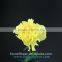 Big yellow Carnation flower high grade fresh cut flowers wholesale from China supplier