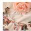 Free shipping new Girls Baby Kids Toddlers Summer Floral Print dress Bow sleeveless long sleeve Tutu Dress children's clothing