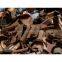 Cast Scrap Iron
