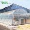 China Low Price Classic Commercial Plastic Film Greenhouse/Garden Greenhouse for sale