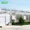 Large Size Agricultural Vegetable PC Greenhouse For Hot Sale