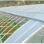 Roof Opening Plastic Film Greenhouse for Agriculture