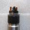 Diesel fuel injector nozzle common rail fuel injector 0445120178