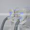 Top 1 Portable cryo cryolipolysis fat freezing machine for salon use