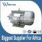 electric ac motor for hot melt extruder machine