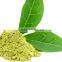 100% Original Certified Green Tea Bulk Sellers