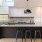 Hot Factory Supply Lacquer Kitchen Cupboard Kitchen Cabinet Kitchen Furniture Set