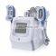 2022  beauty salon hot selling 5 handle cryolipolysis machine/fat freezing slimming machine combine double chin cryo weight loss