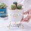 Home Decor Accessories Succulent Planter Small Ceramic Flower Pots Violet Chaozhou Office Table Plant Ceramic Pot With Stand