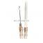 HDK beauty nose lifting rejuvenate nose bridge reshape absorbable polydioxanone PDO COG 2-1 L-type 19G-38mm/60mm for Nose