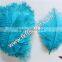 Natural Craft Ostrich Feather Fabric And Blue Decoration Ostrich Feather Coat