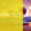 Decorative PET Light Color Protective Plastic Yellow Transparent Film