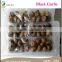 black garlic