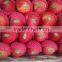 High grade qinguan apples