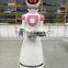 Intelligent Laser Navigation Humanoid Robot Waiter