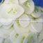 12 Months Warranty advanced technology multifunctional vegetable fruit cutter
