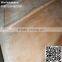 Red Olive Veneer
