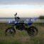 49CC 2STROKE DIRT BIKE MINI KIDS PIT BIKE