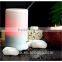 100mL Aroma Diffuser Ultrasonic Humidifier LED Color Changing Ionizer Lamp