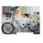 Popular 16' 48V exercise mountain electric bike motoe for sales