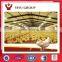 Poultry farm equpment chicken shed layer cage with auto drinker and feeder
