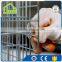 31 Inch Cat Cage Trap HD561731