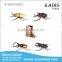  express 3d jigsaw puzzle