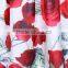 New Fashion European Style Women's Elastic Waist Printed Pleated Loose Puff Skirt