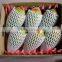 EPE fruit package foam sleeve net with high quality