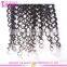 2015 New Arrival Hot Selling High Quality 100% Virgin Remy Brazilian Water Wave Micro Loop Hair Extensions