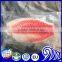 High Quality Fillet of Tilapia Fish