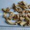 Wholesales High Quality Dried Shiitake Mushroom Leg