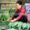 Fresh big size bamboo leaf