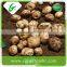 Fresh Shandong Potato 80-150g to Malaysia