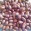 Best peanuts supplier