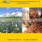 Flaxseed Extract Powder from GMP Certified Manufacturer