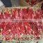 Chinese Dried Chili/chili Peppers,American Red Chili