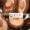 China Health Food Canned Shiitake Mushroom with Best Quality