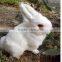 Easter Bunny Taxidermy Figurine plush Decor Cabin Brown Tan Rabbit