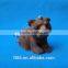 Christmas decoration fake squirrel plush animals tree decoration