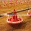 goldenest automatic poultry equipments | plastic feeding pans for poultry house equipments