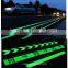 Glow in the dark powder for Luminous Coating
