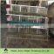 uganda poultry farm automatic chicken layer cage