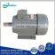 Multi-Speed Three Phase Induction Motor