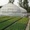 China Commercial Greenhouse For Hydroponic System