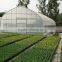 Economical Multi-span Greenhouse For Agriculture Polycarbonate sheet